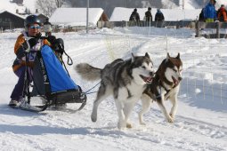 Lenk 2012 SM
